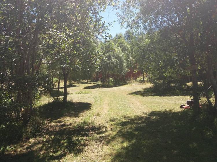 Fotografía 2 de Camping Quetroleufu en Pucon, Araucania