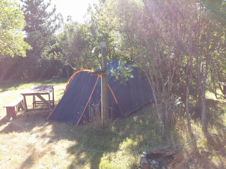 Fotografía 9 de Camping Quetroleufu en Pucon, Araucania