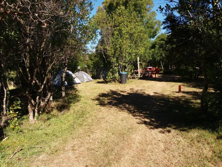 Fotografía 12 de Camping Quetroleufu en Pucon, Araucania