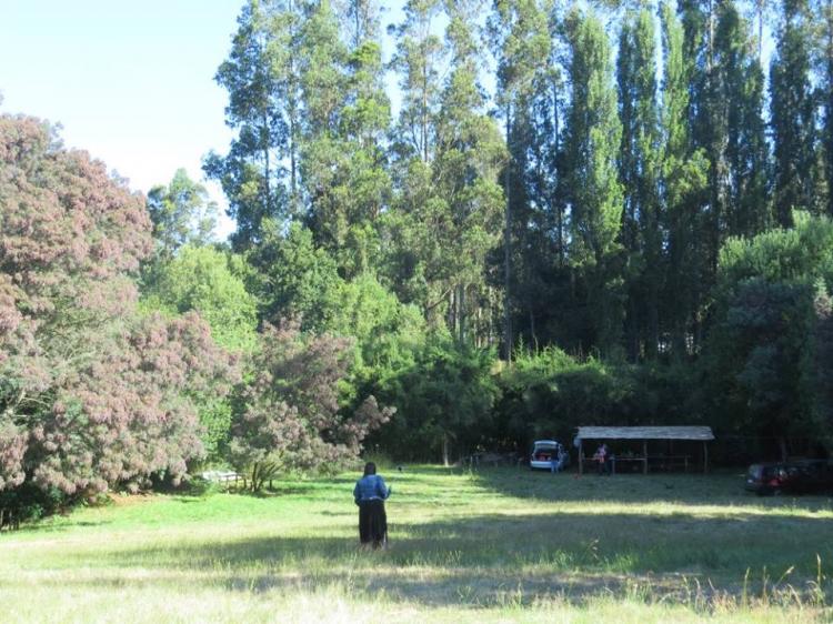Fotografía 15 de Camping Los Alamos en Padre De Las Casas, Araucania