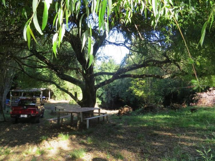Fotografía 17 de Camping Los Alamos en Padre De Las Casas, Araucania