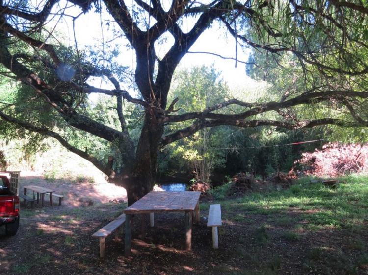 Fotografía 18 de Camping Los Alamos en Padre De Las Casas, Araucania