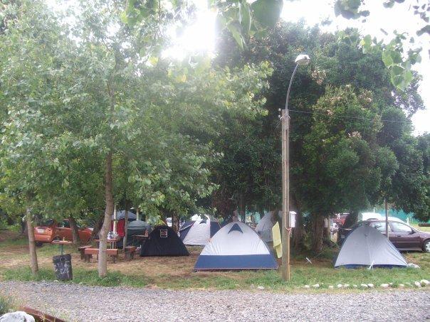 Fotografía 2 de Camping Los Boldos en Pucon, Araucania