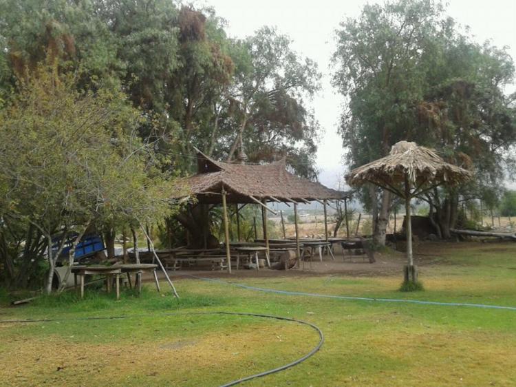 Fotografía 8 de Camping El Edén de Cabildo en Cabildo, Valparaiso