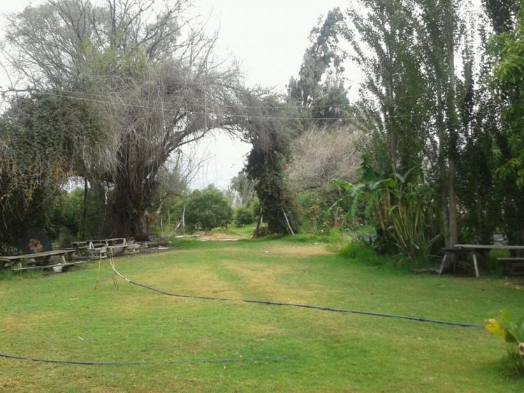 Fotografía 12 de Camping El Edén de Cabildo en Cabildo, Valparaiso