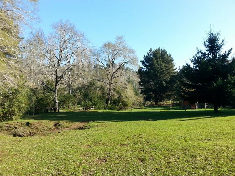 Fotografía 2 de Camping Kolei Mawida en Victoria, Araucania