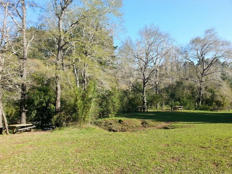 Camping Kolei Mawida en Victoria, Araucania