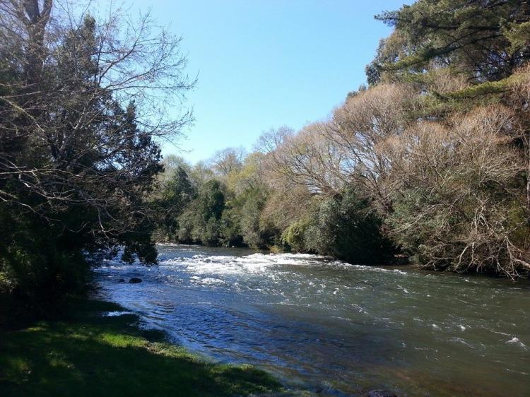 Fotografía 4 de Camping Kolei Mawida en Victoria, Araucania