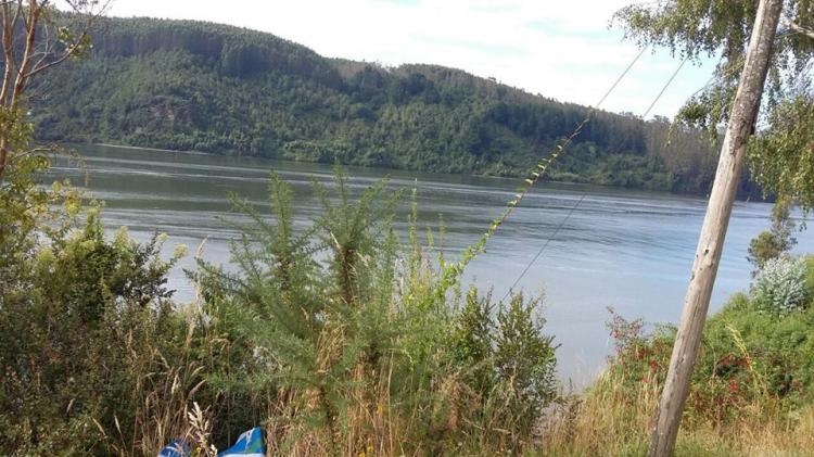 Fotografía 2 de Camping Los Arrayanes Niebla en Valdivia, Los Rios