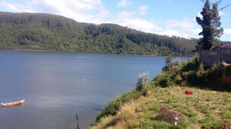 Fotografía 6 de Camping Los Arrayanes Niebla en Valdivia, Los Rios