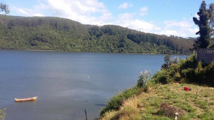 Fotografía 8 de Camping Los Arrayanes Niebla en Valdivia, Los Rios