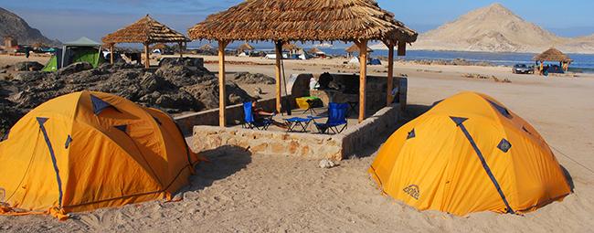 Fotografía 5 de Camping Pan De Azucar en Chañaral, Atacama