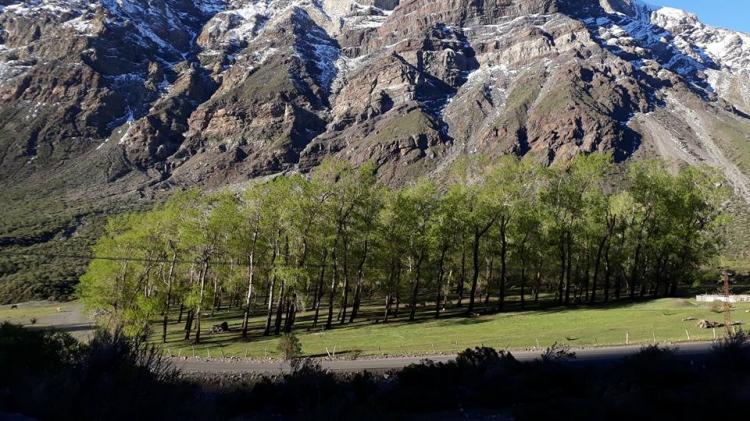 Fotografía 4 de Camping Valle del Bosque en Cajon del Maipo, Metropolitana
