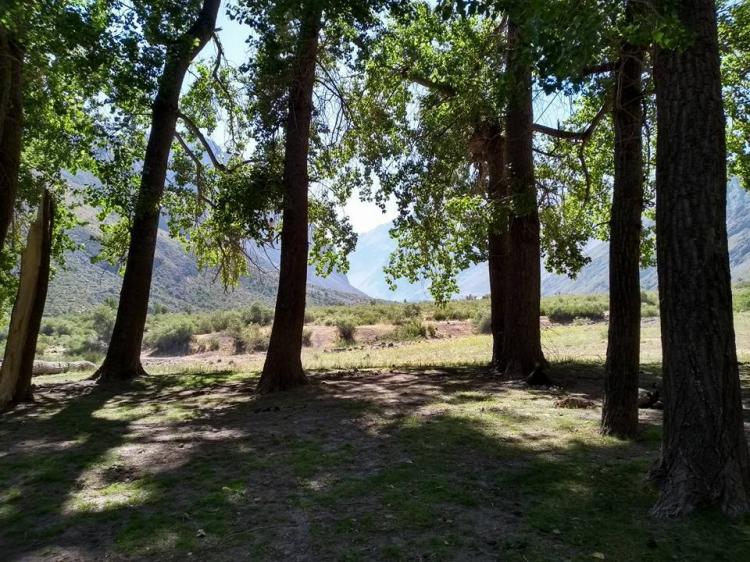 Fotografía 6 de Camping Valle del Bosque en Cajon del Maipo, Metropolitana