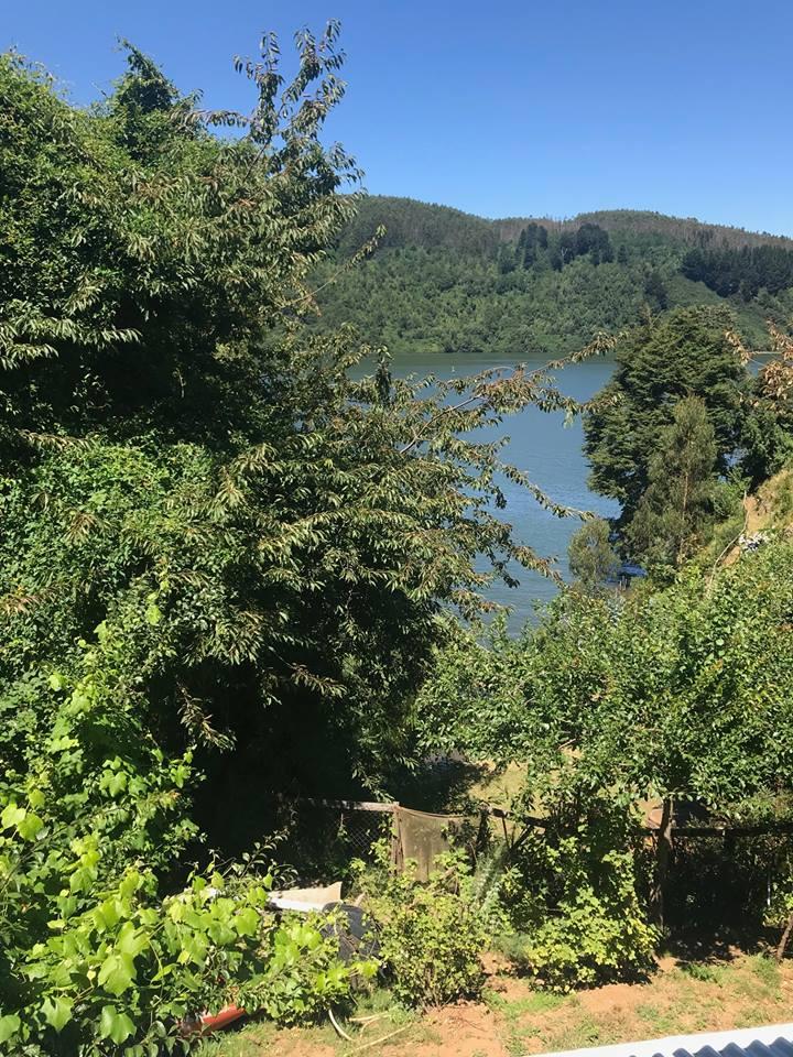 Fotografía 3 de Camping Agua del Obispo en Valdivia, Los Rios