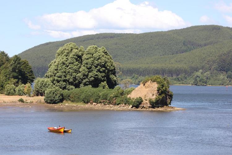Fotografía 7 de Camping Agua del Obispo en Valdivia, Los Rios
