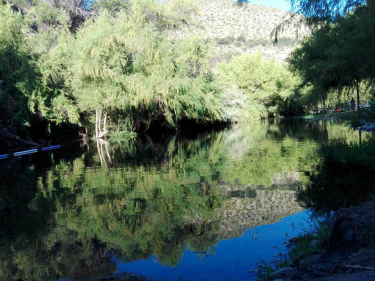 Fotografía 3 de Camping Isla San Rafael en Monte Patria, Coquimbo