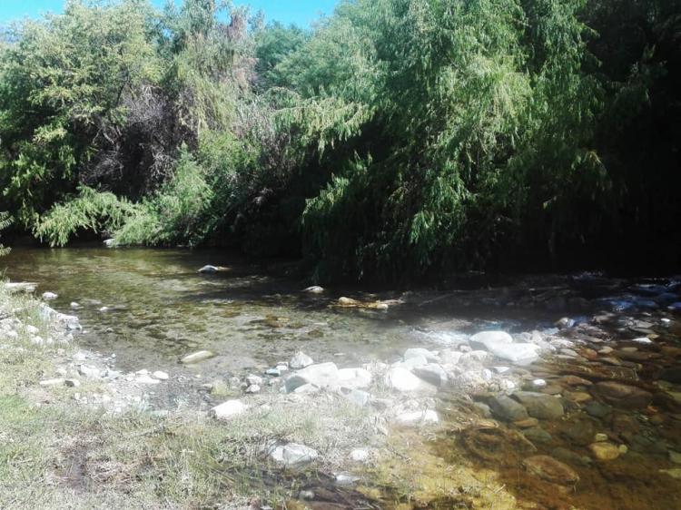 Fotografía 7 de Camping Isla San Rafael en Monte Patria, Coquimbo