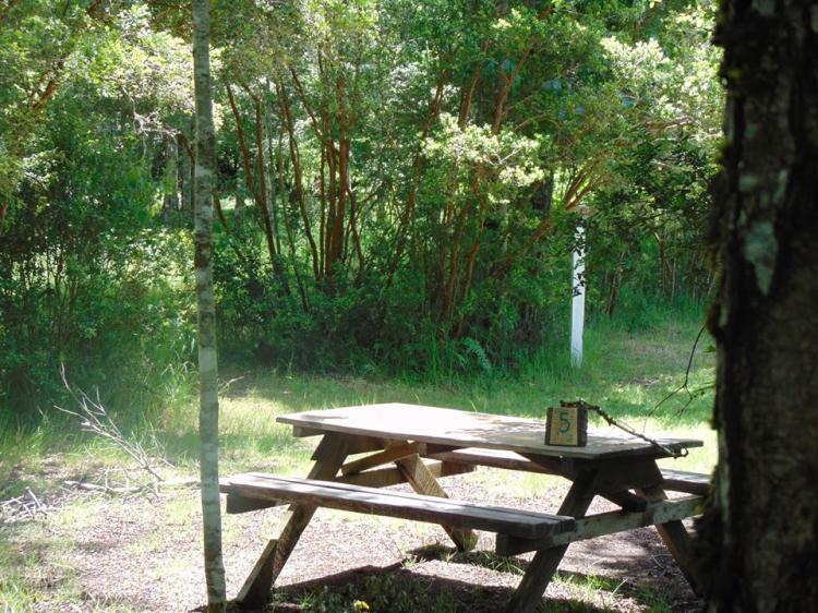 Fotografía 3 de Camping Alicanto en Pucon, Araucania