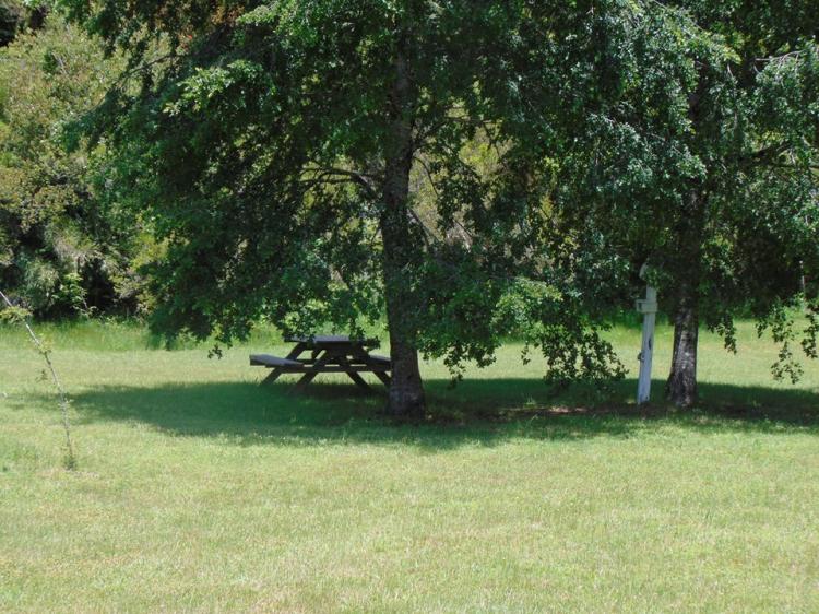 Fotografía 6 de Camping Alicanto en Pucon, Araucania