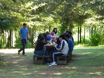 Fotografía 3 de Cabañasy Camping Los Pinos en Villarrica, Araucania