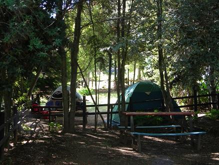 Fotografía 7 de Cabañasy Camping Los Pinos en Villarrica, Araucania
