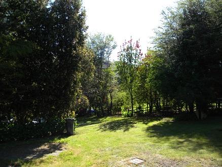 Fotografía 8 de Cabañasy Camping Los Pinos en Villarrica, Araucania