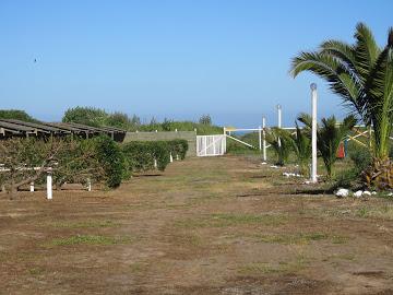 Fotografía 5 de Camping Familiar en playas de ILoca en Licanten, Maule