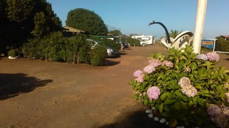 Fotografía 13 de Camping Familiar en playas de ILoca en Licanten, Maule