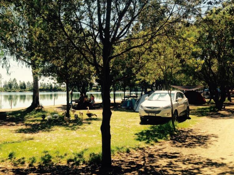 Fotografía 15 de Camping Laguna Esmeralda en Melipilla, Metropolitana