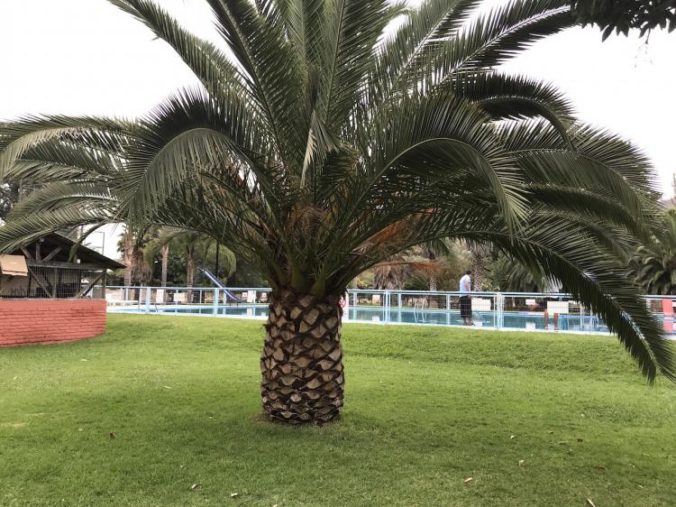Fotografía 9 de Club De Campo La Encina en San Vicente, Ohiggins