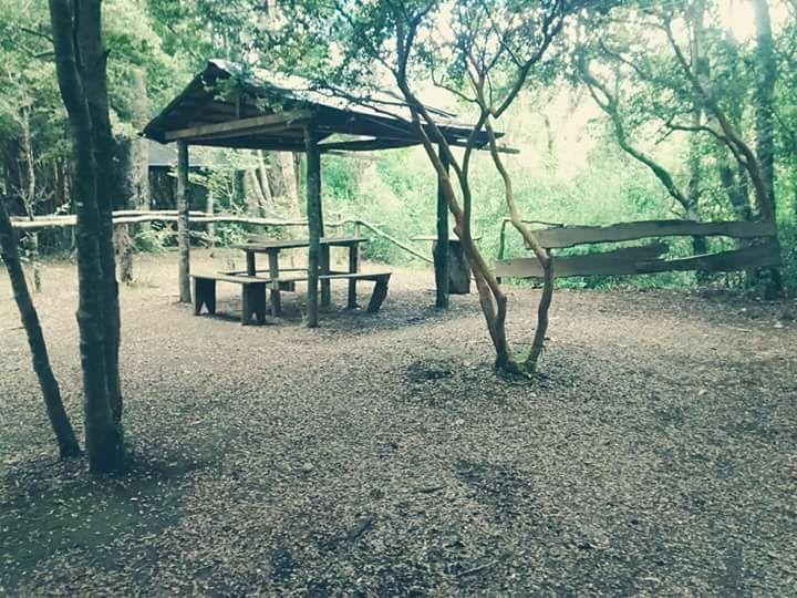 Fotografía 2 de Camping La Puntilla en Pucon, Araucania
