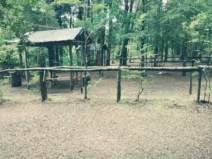 Fotografía 3 de Camping La Puntilla en Pucon, Araucania