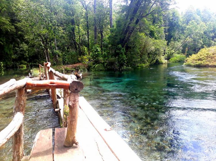 Fotografía 8 de Camping La Puntilla en Pucon, Araucania