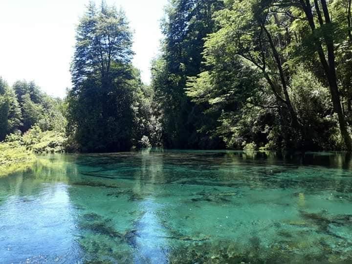 Fotografía 12 de Camping La Puntilla en Pucon, Araucania
