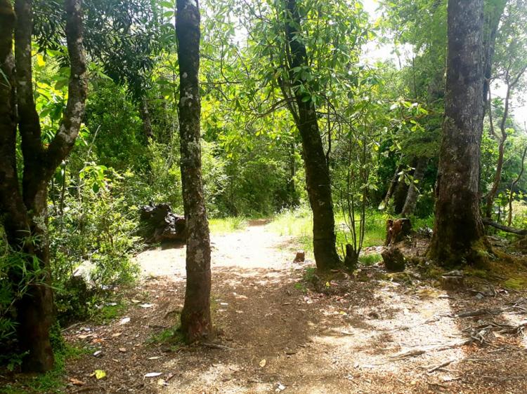 Fotografía 13 de Camping La Puntilla en Pucon, Araucania