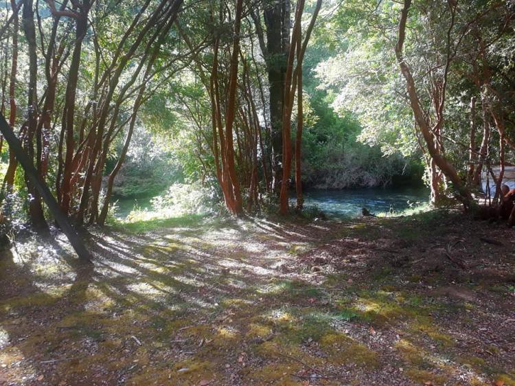 Fotografía 14 de Camping La Puntilla en Pucon, Araucania
