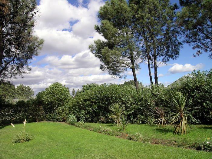 Fotografía 5 de Camping Centro Vacacional Bello Bosque en Quillon, Bio Bio