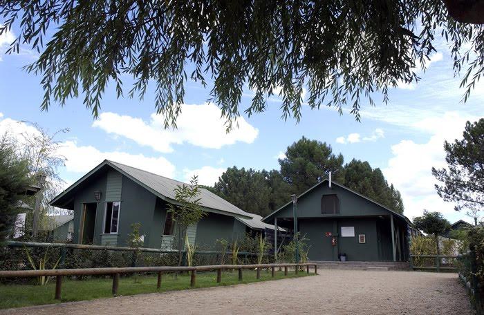 Fotografía 6 de Camping Centro Vacacional Bello Bosque en Quillon, Bio Bio
