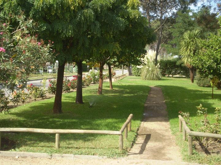 Fotografía 11 de Camping Centro Vacacional Bello Bosque en Quillon, Bio Bio