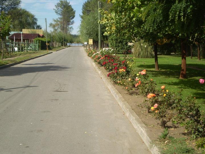 Fotografía 12 de Camping Centro Vacacional Bello Bosque en Quillon, Bio Bio