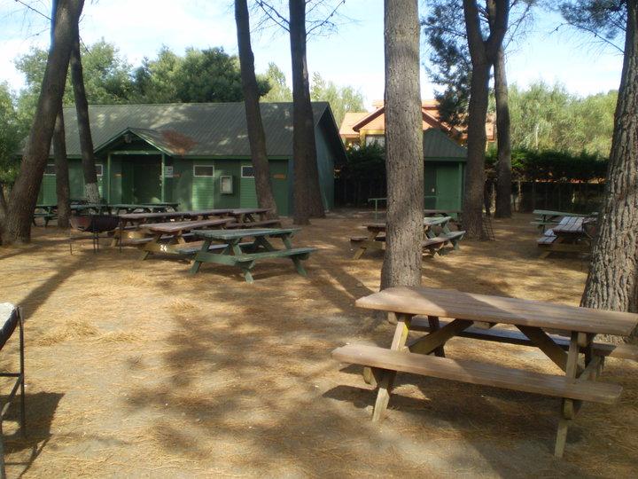 Fotografía 14 de Camping Centro Vacacional Bello Bosque en Quillon, Bio Bio