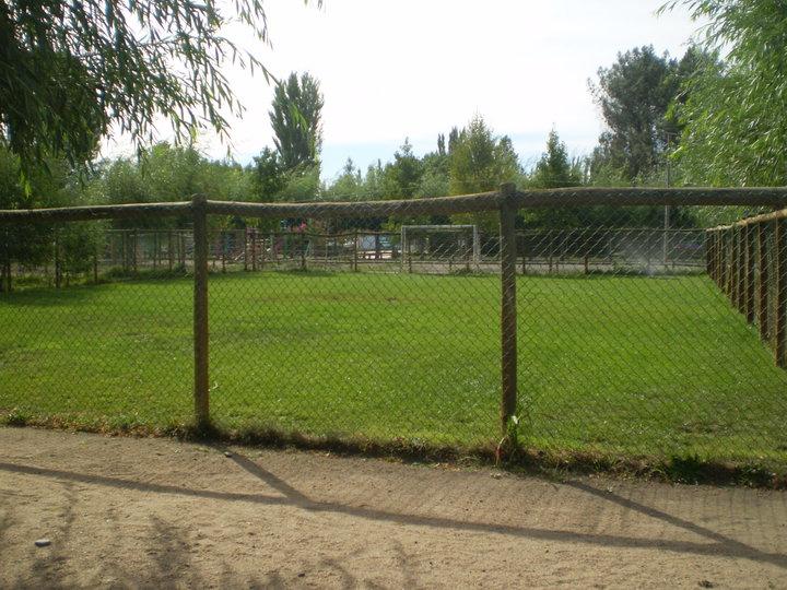 Fotografía 18 de Camping Centro Vacacional Bello Bosque en Quillon, Bio Bio