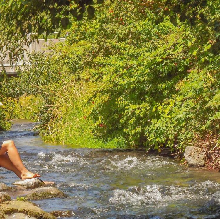 Fotografía 7 de Camping Molco Beach en Villarrica, Araucania