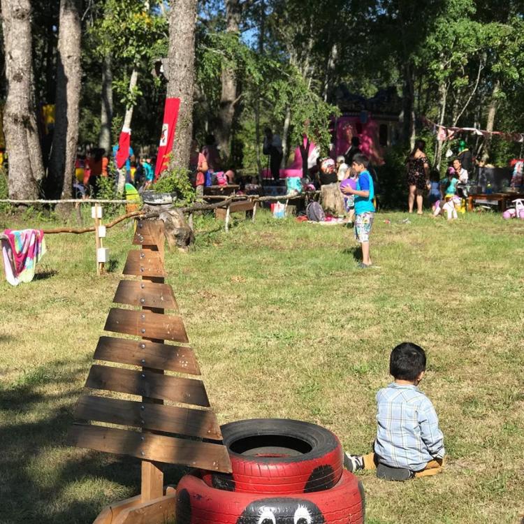 Fotografía 12 de Camping Molco Beach en Villarrica, Araucania