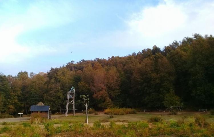 Fotografía 15 de Camping Valle de las Catas en Molina, Maule