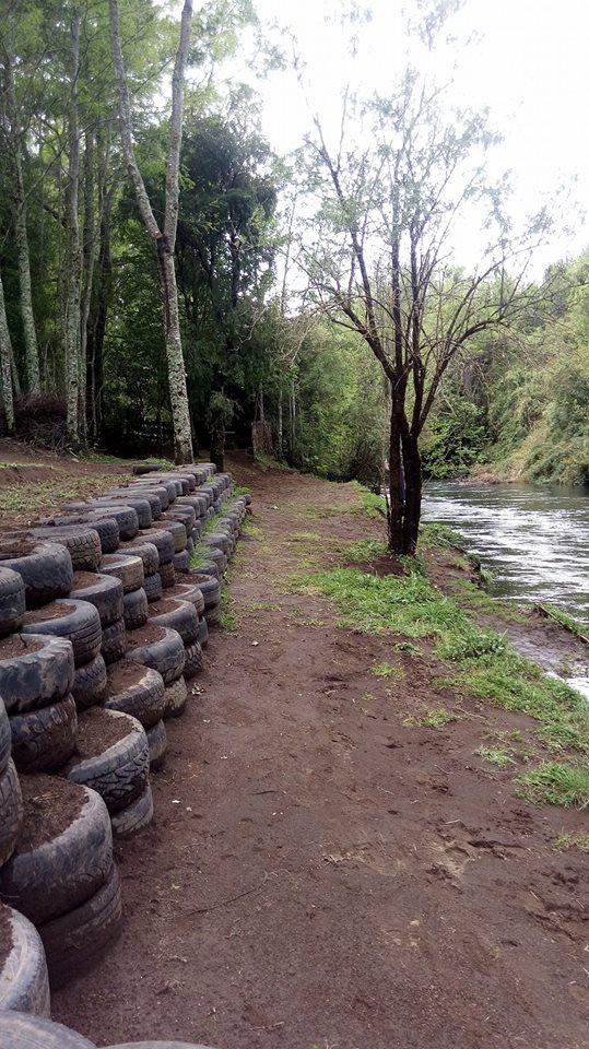 Fotografía 2 de Camping Los Abedules en Cunco, Araucania