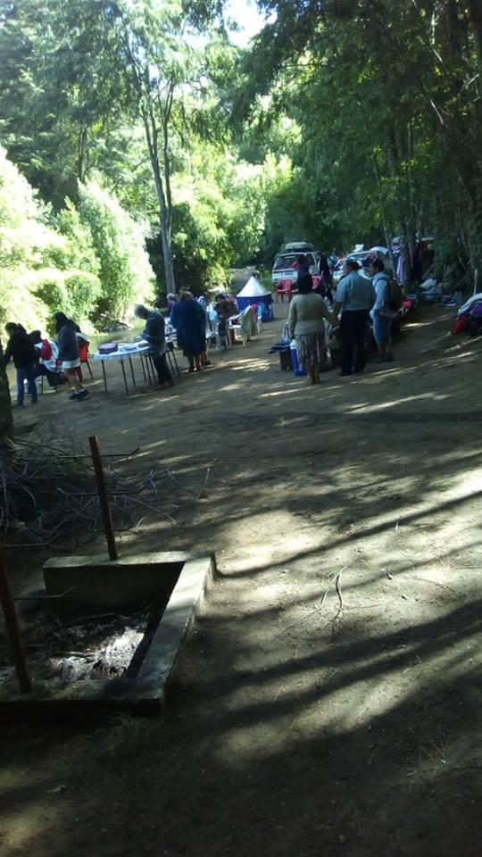 Fotografía 7 de Camping Los Abedules en Cunco, Araucania