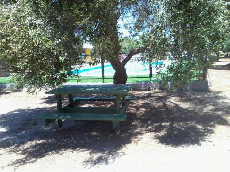 Fotografía 2 de Camping Campo Getsemani en Canela, Coquimbo