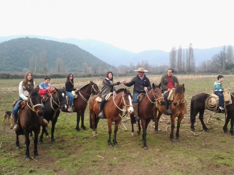 Fotografía 9 de Camping Bajo Los Pablos en San Fernando, Ohiggins